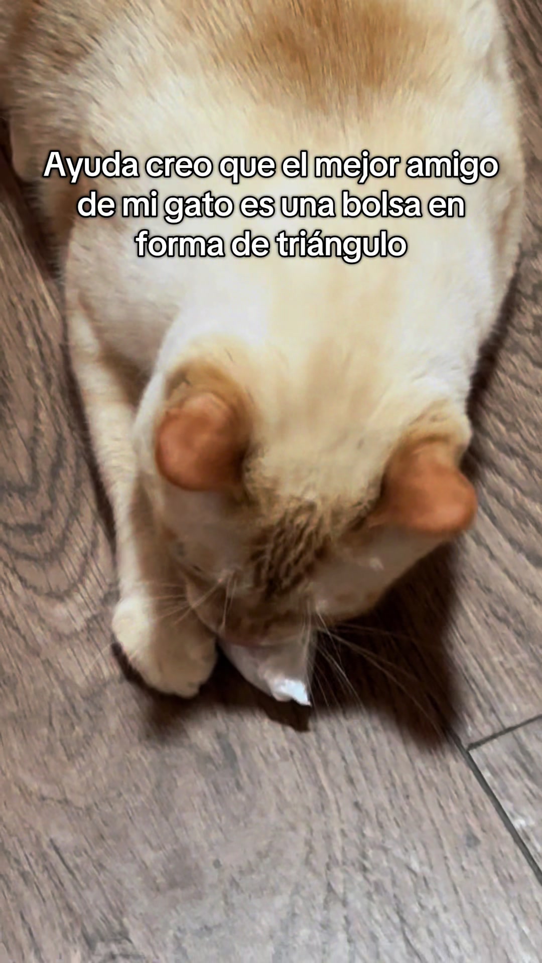 @Marcos Morales