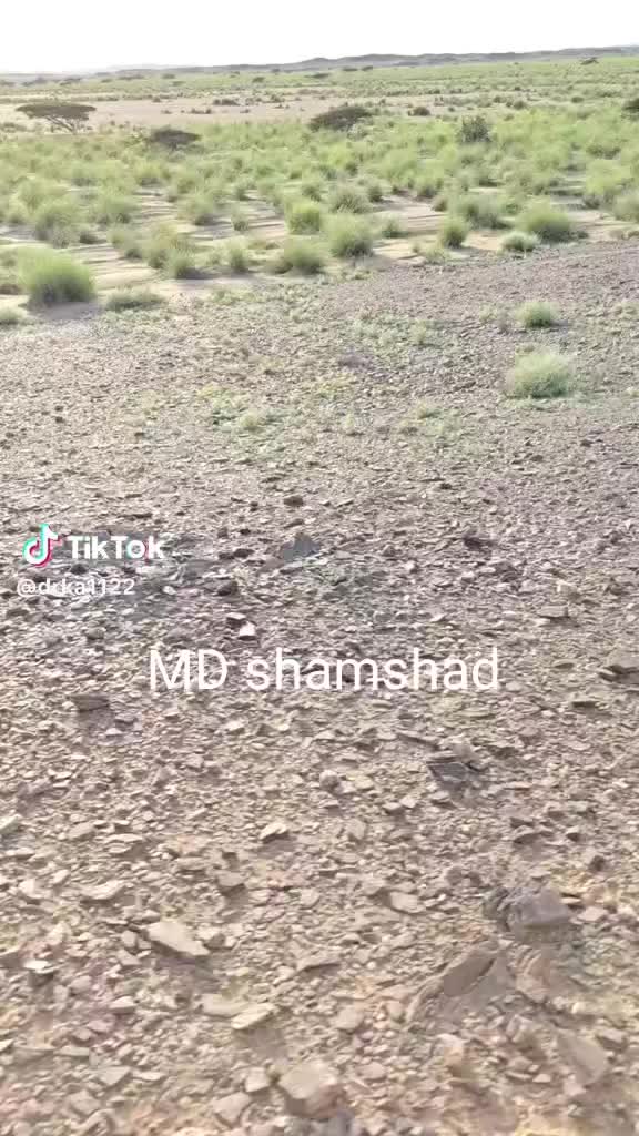 @MD shamshad