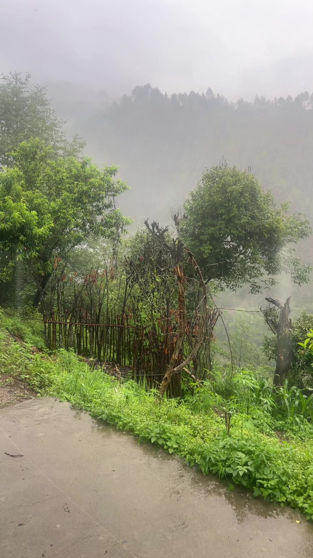 @Keshav pujari