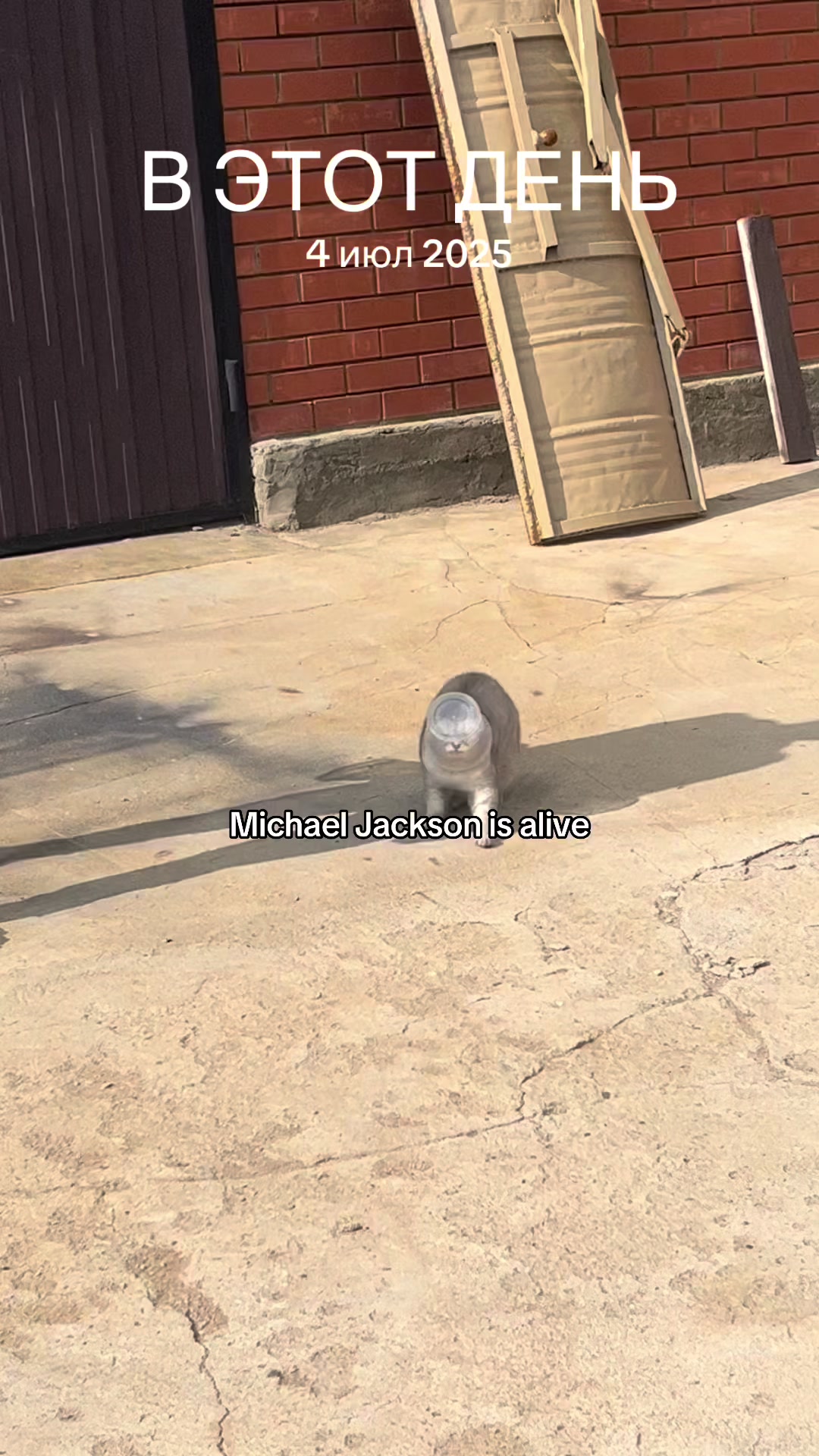 @meeee