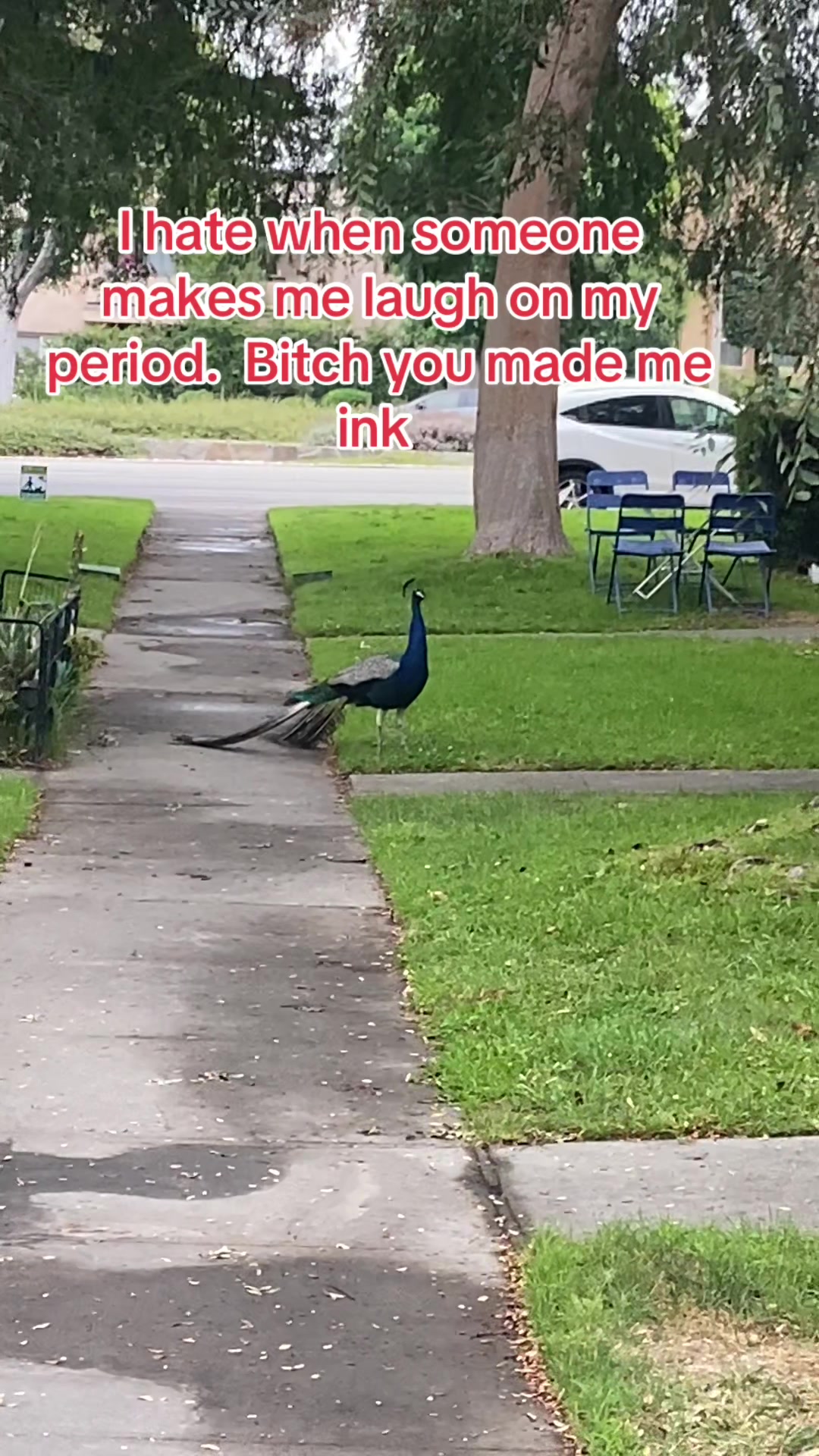 @LilPixC