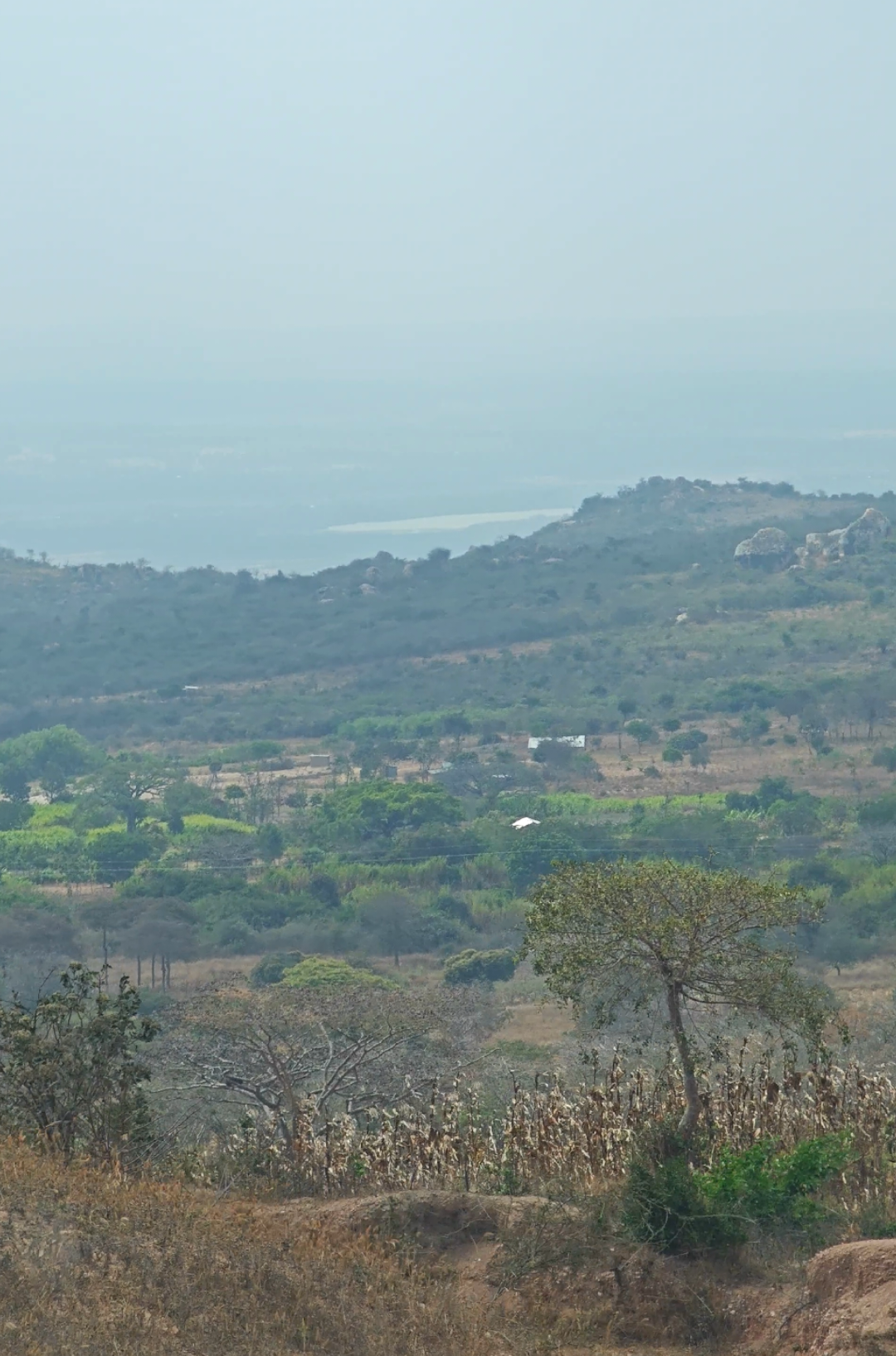 @Dodoma_view