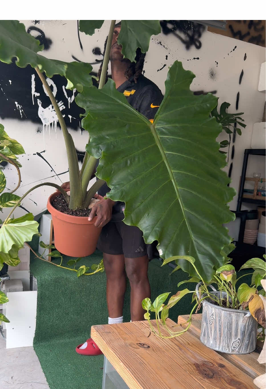 @Plant Deco ATL