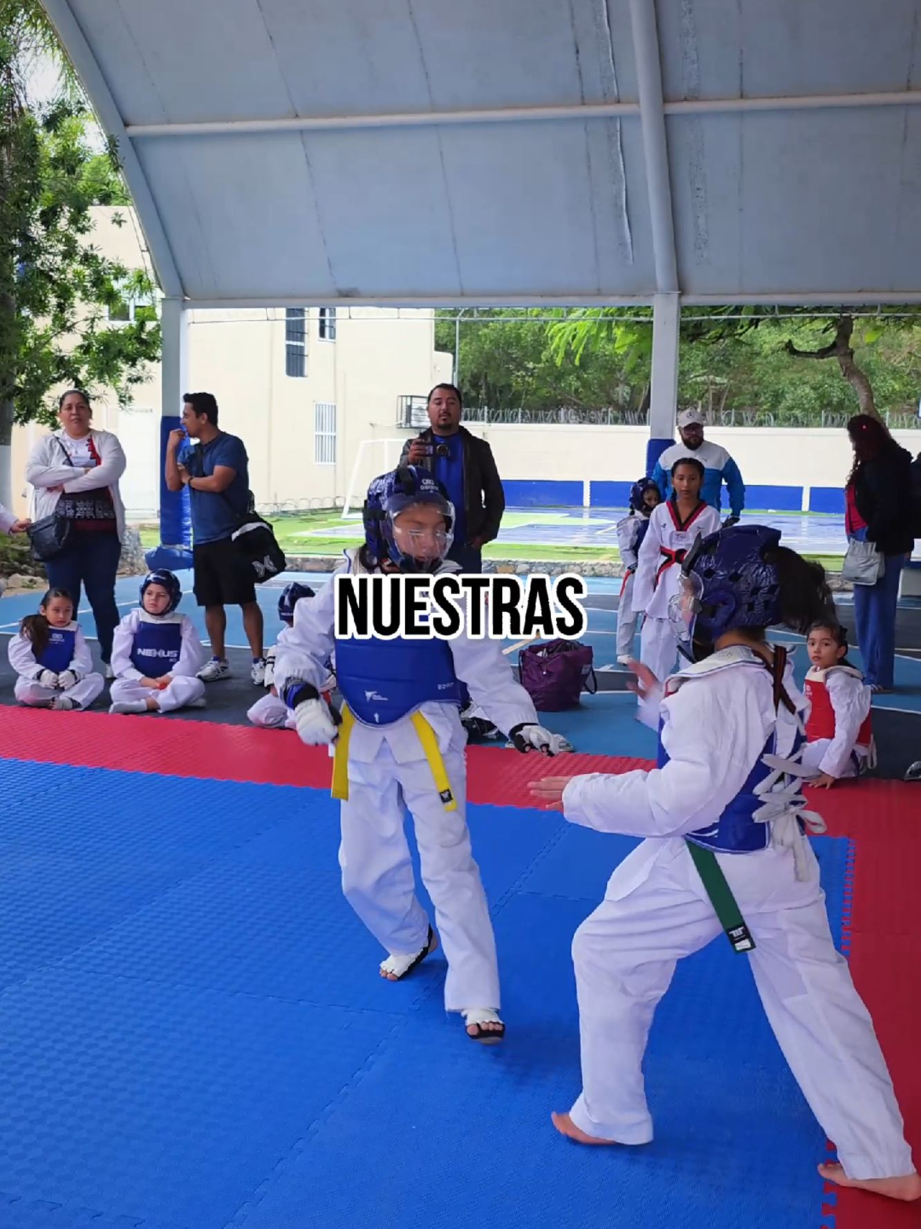 @Leones del Ingl&eacute;s