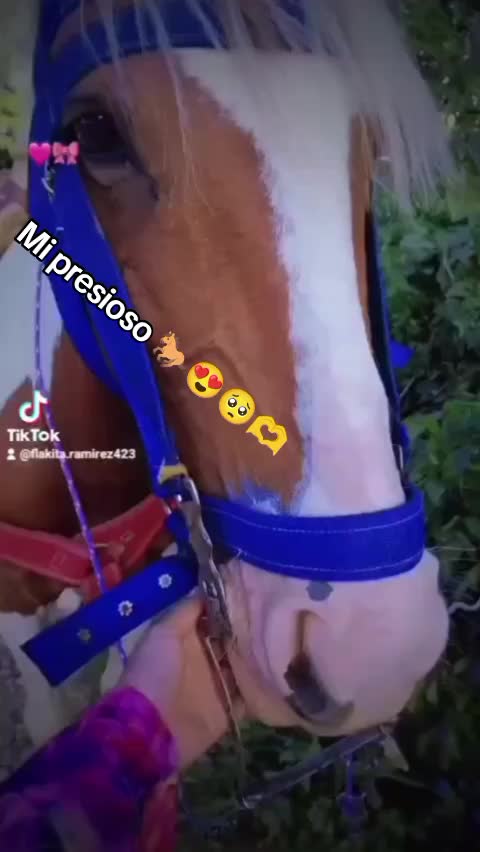 @Paola Ramírez