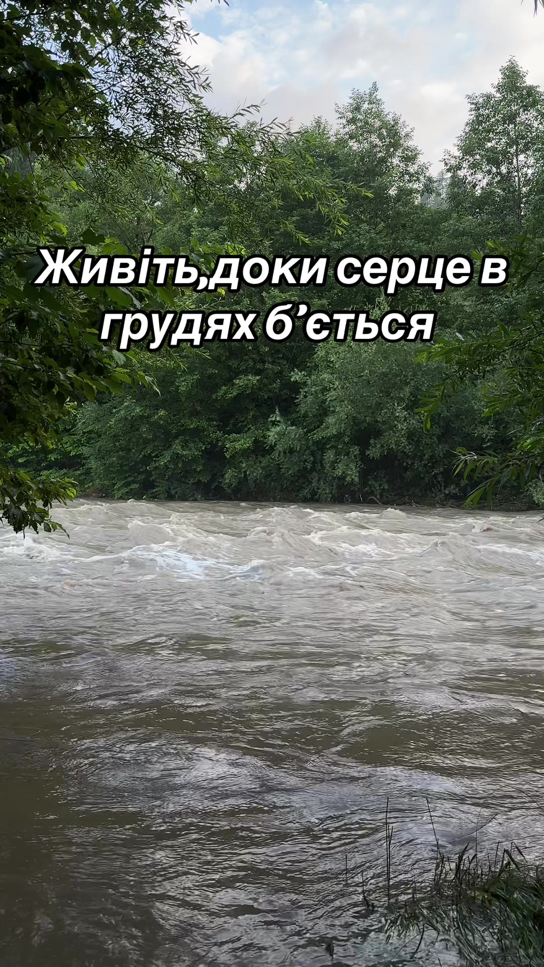 @Карпатський гуцул Любомир 2
