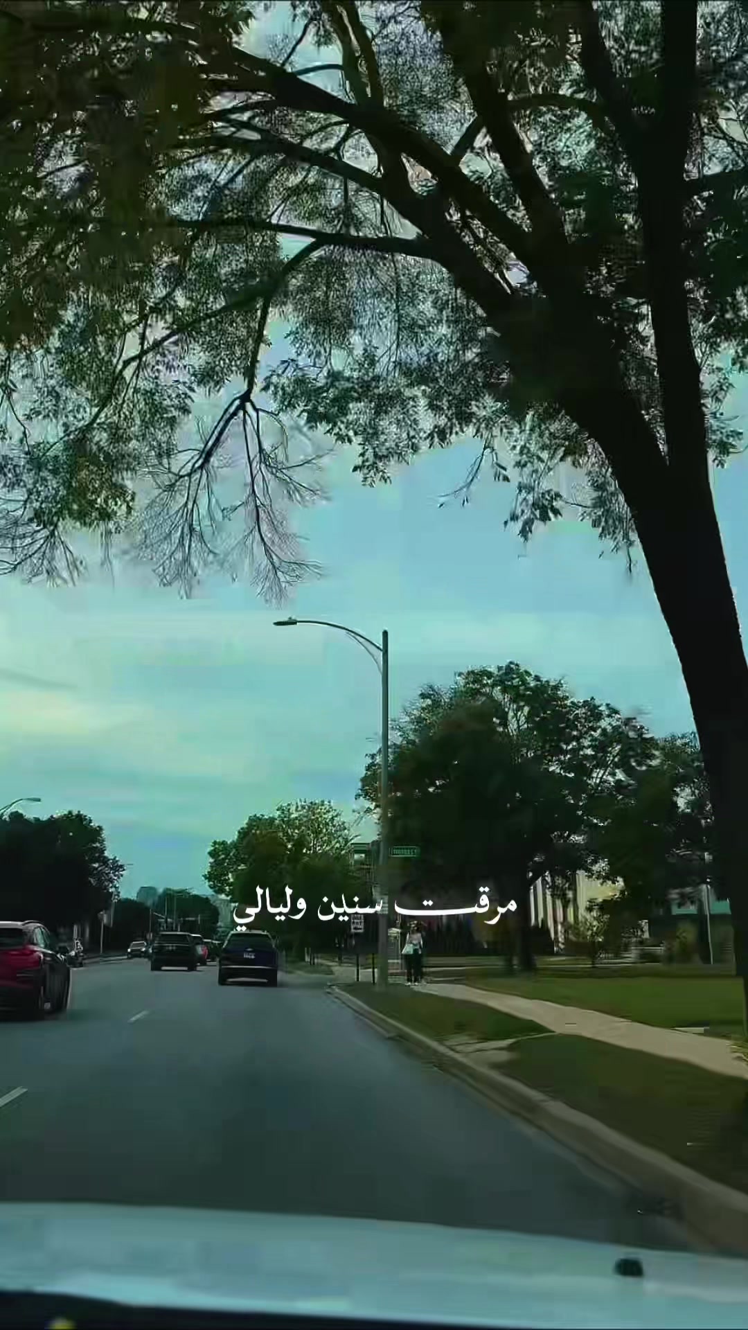 @🌺Z🌿E🌺N🌿A🌺. 🇮🇶🔛🇺🇸
