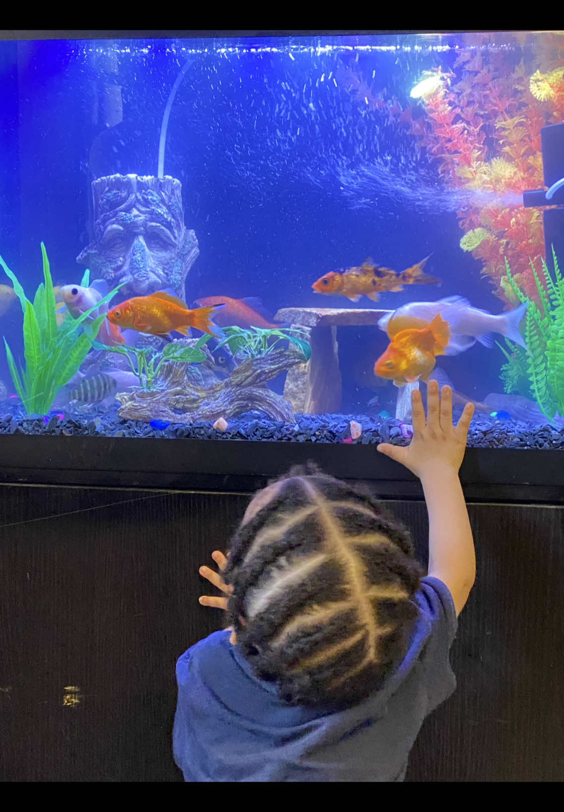 @fishtanks4u_