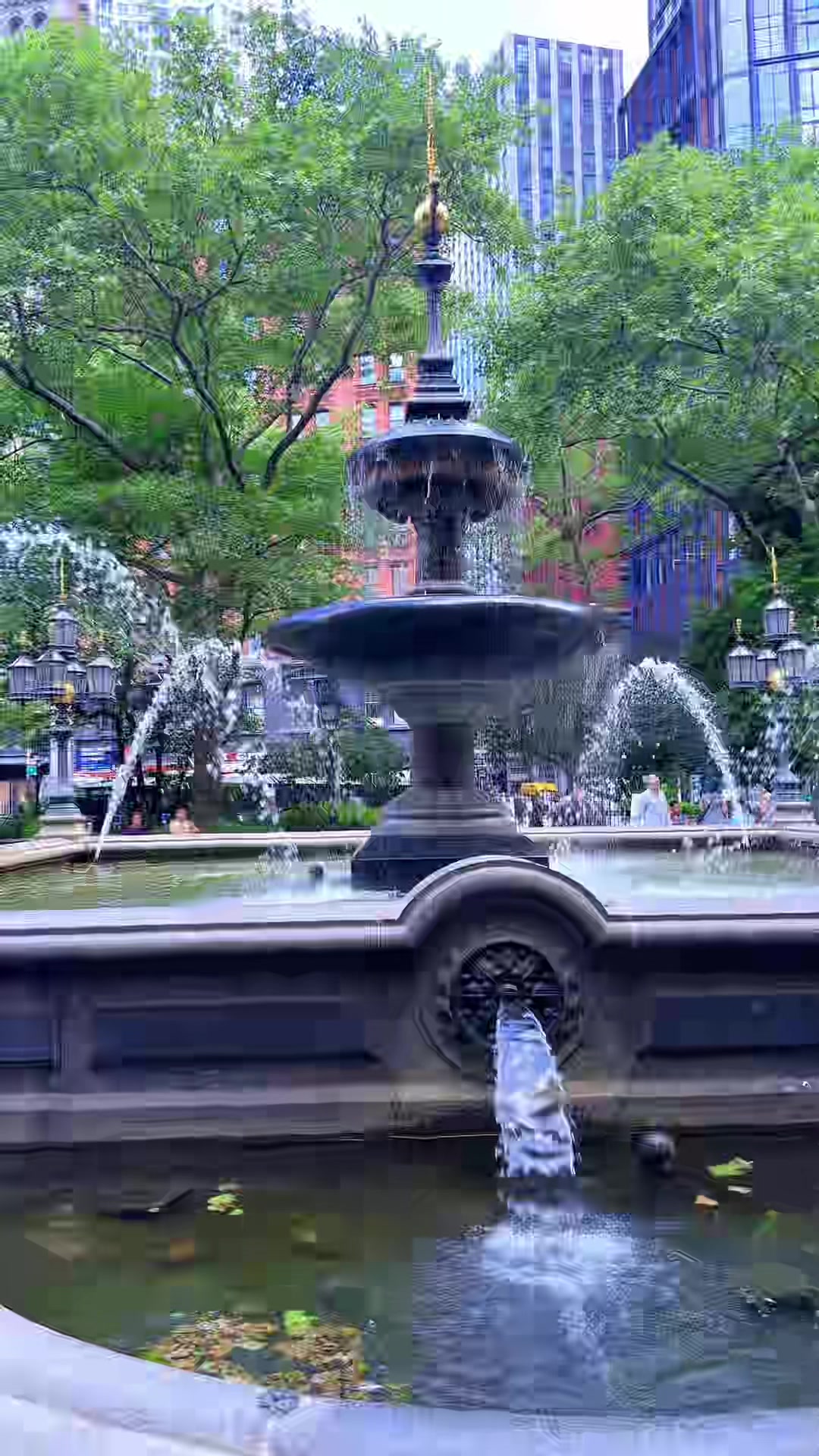 @🦋