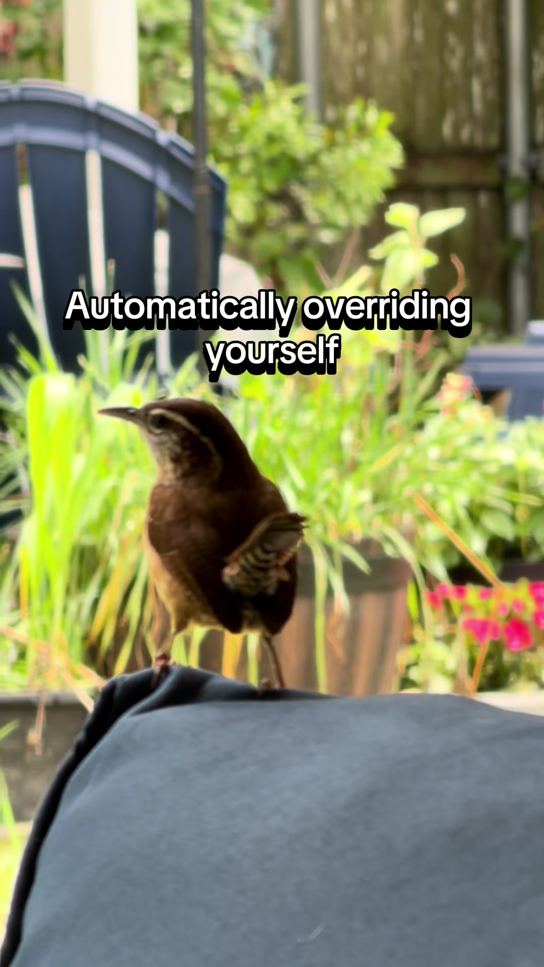 @Survival Mode Shift