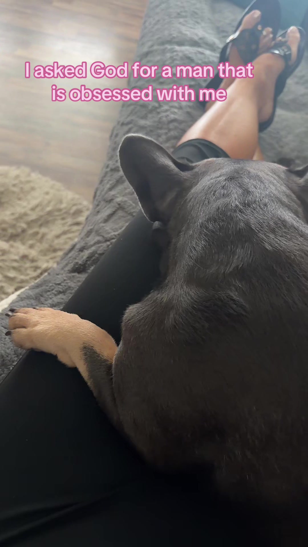 @Crazy4Frenchies