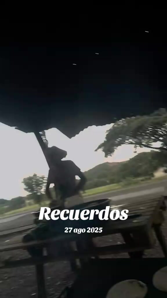 @ana peralta
