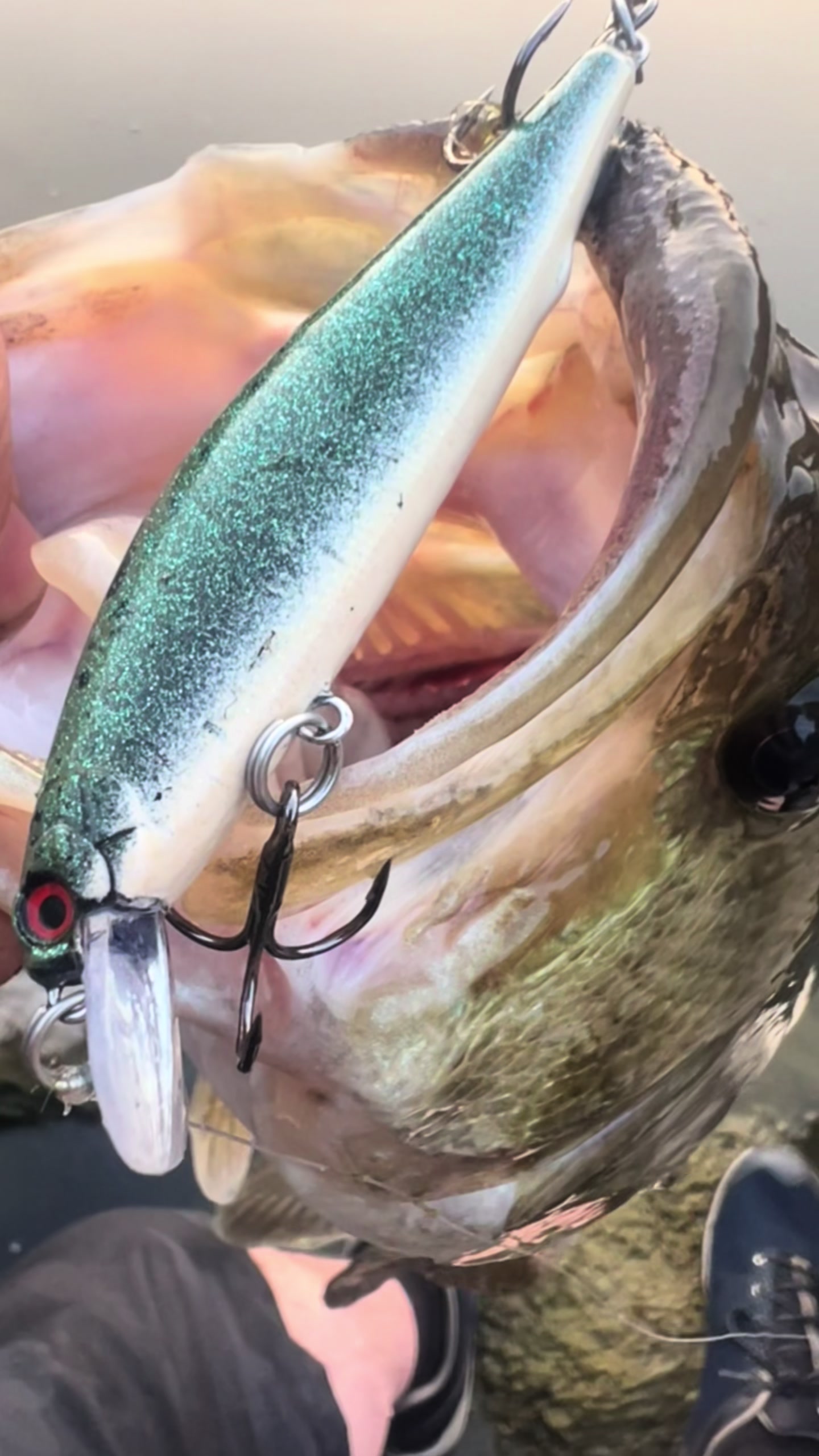 @ReelMichiganAnglers