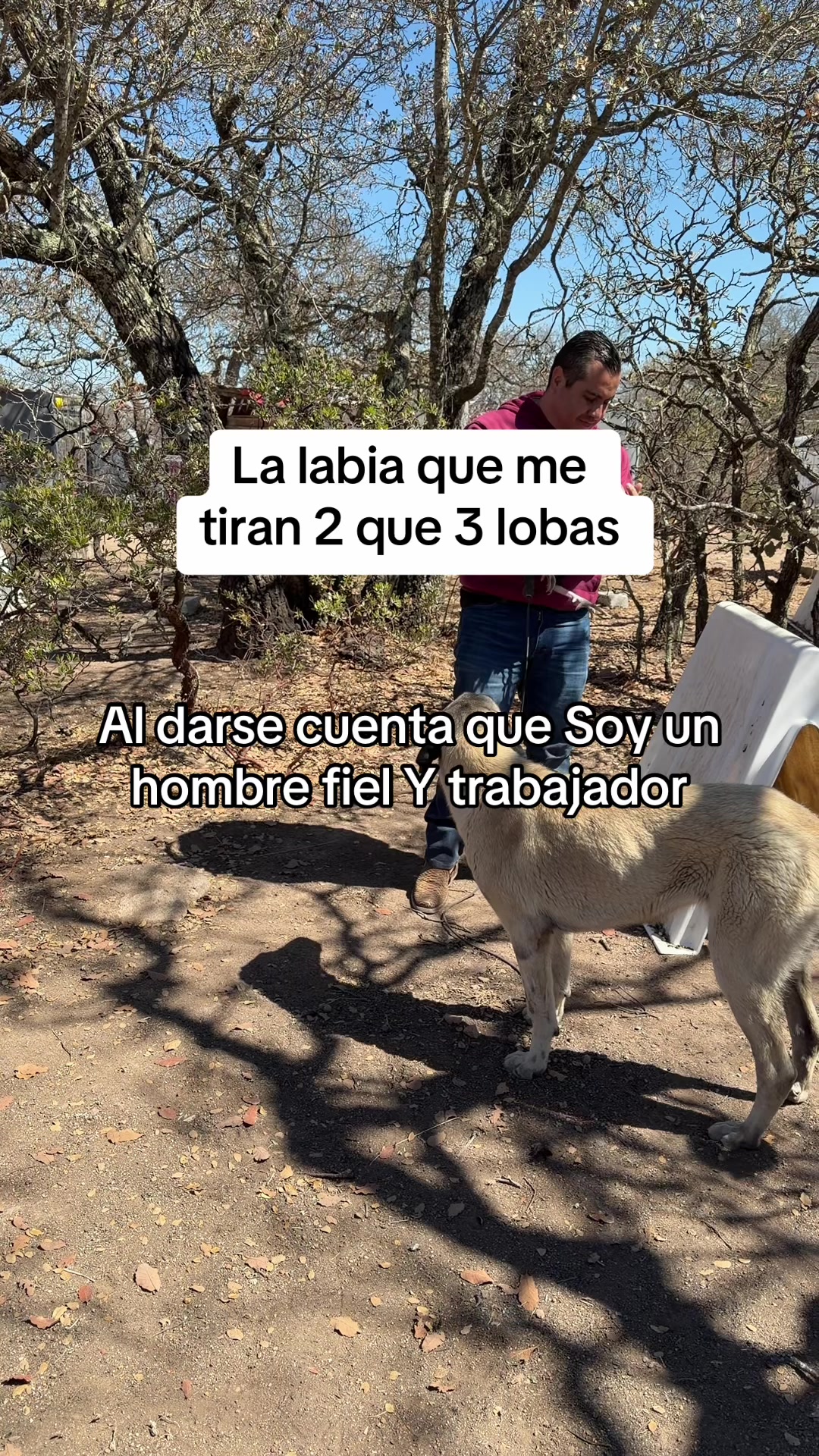 @SerPerLop