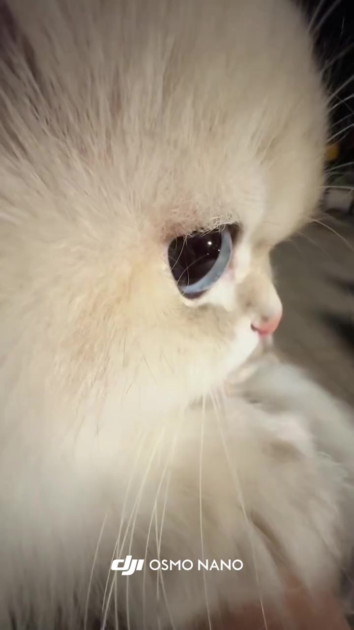 @trạm cute