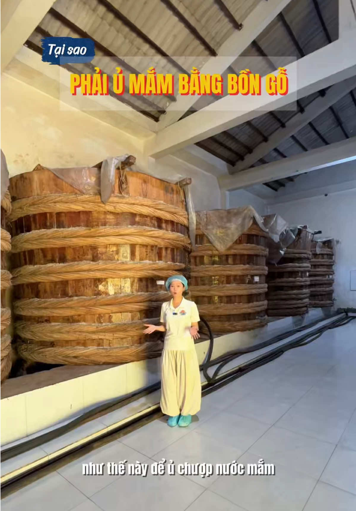 @Hòa Hiệp Foods Official