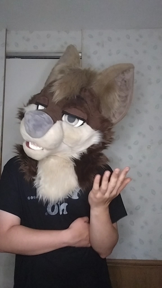 @Rollin wolf