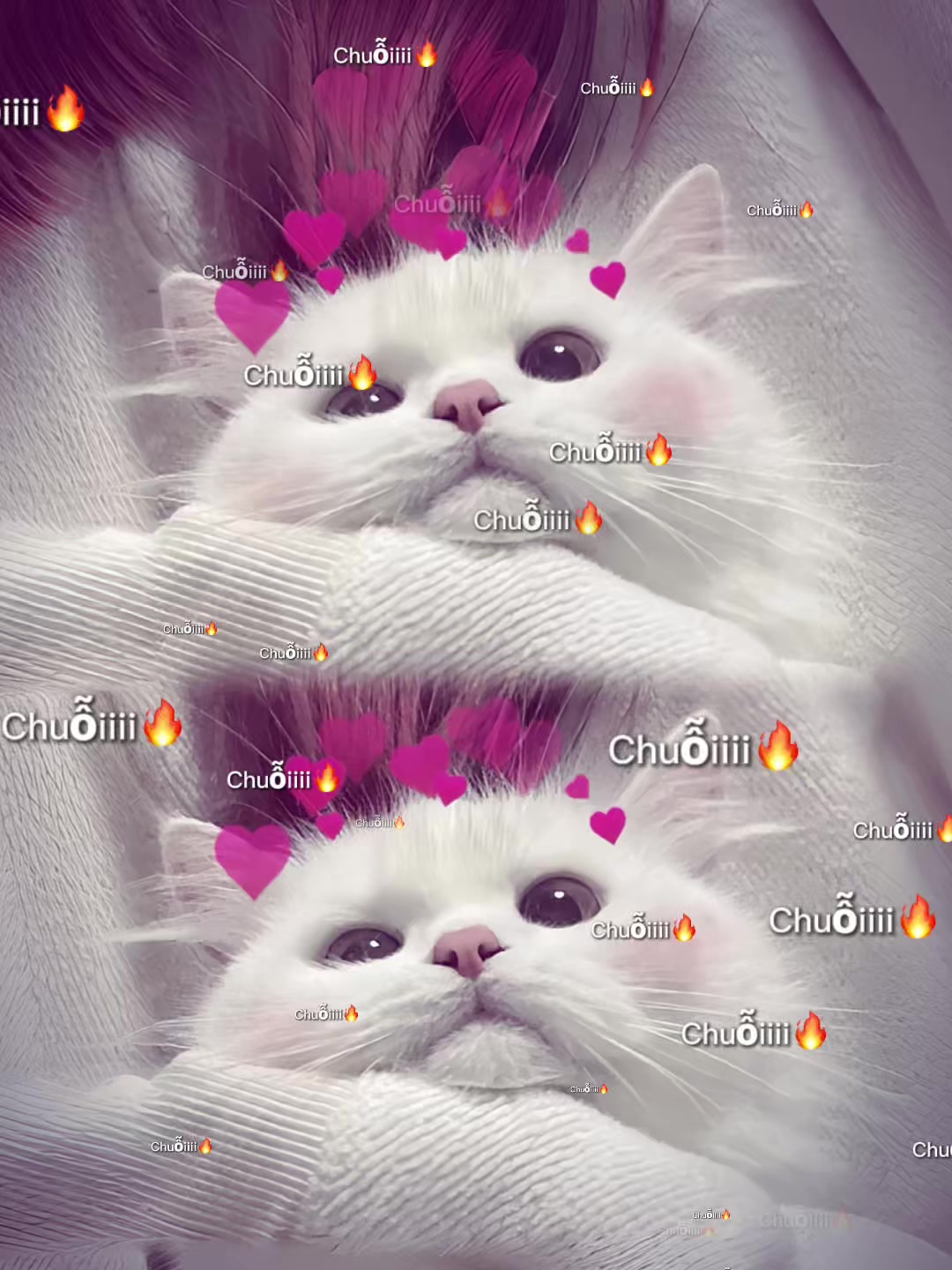 @𝓵