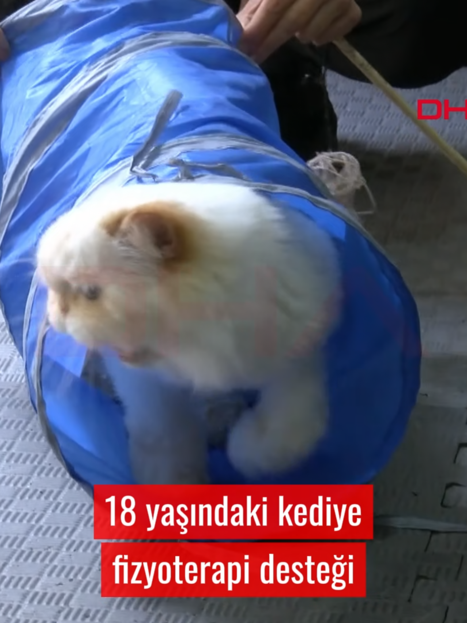 @Demirören Haber Ajansı