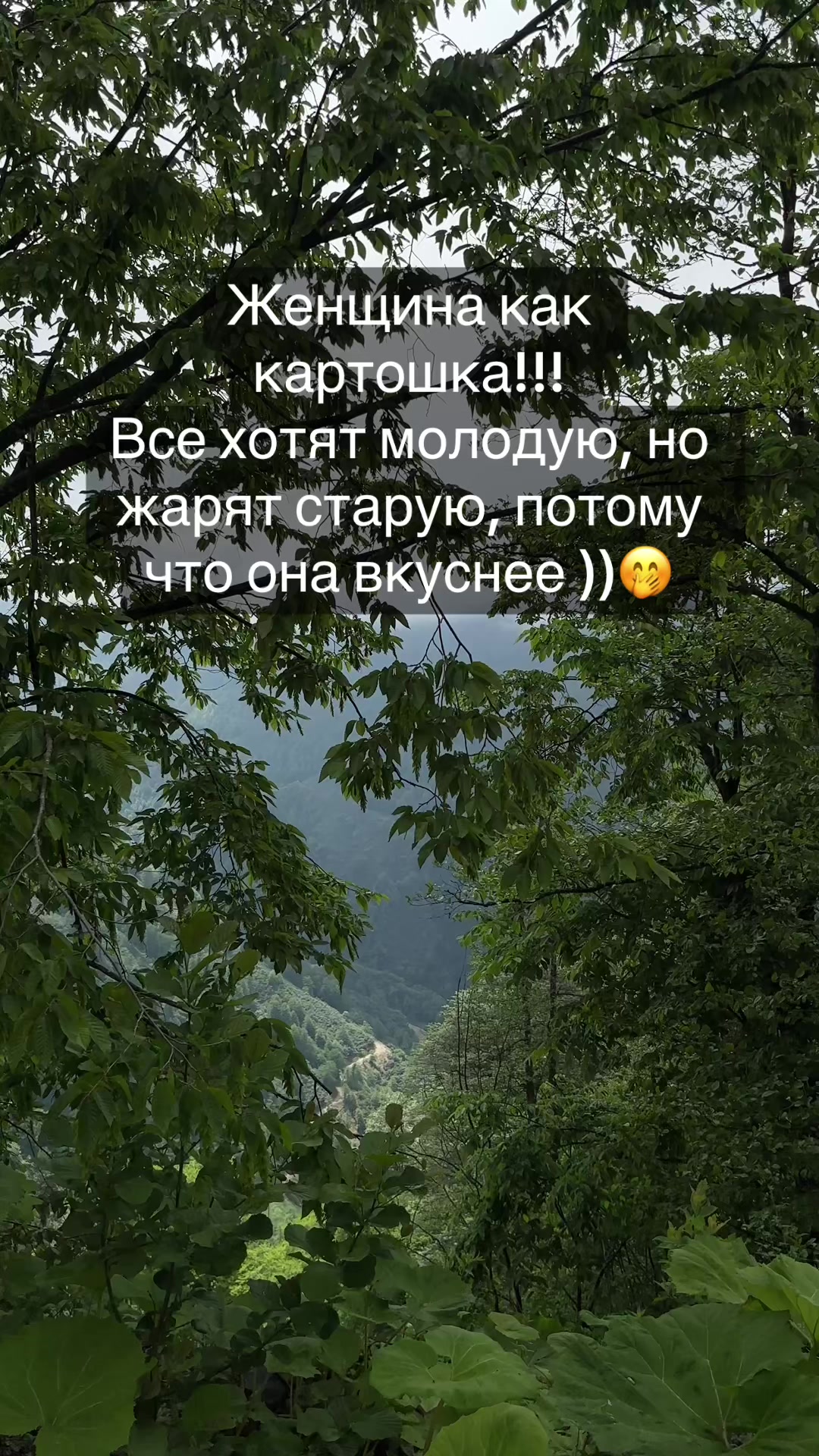 @👑АрИсТоКрАтКа👑