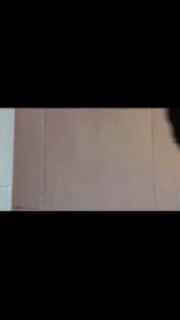 @aliprince71000
