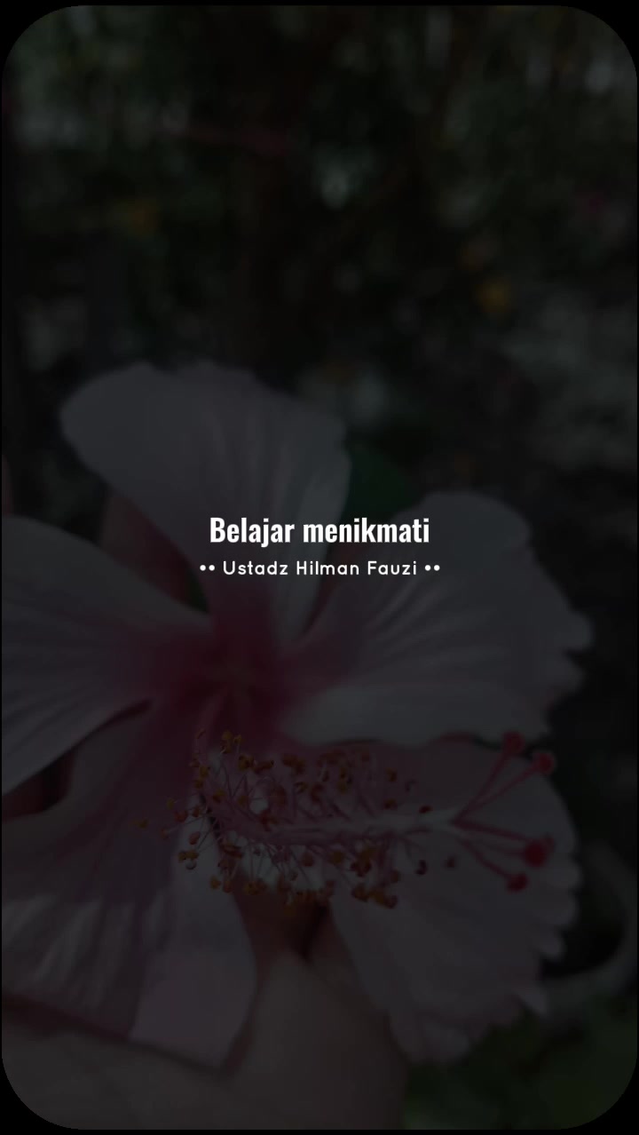 @hatni zha