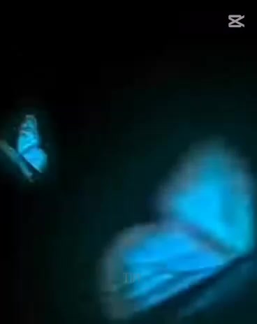 @ℝ𝔼𝔻 𝔻ℝ𝔸𝔾𝕆ℕ ℕ𝕀ℝ𝕆ℂℍ