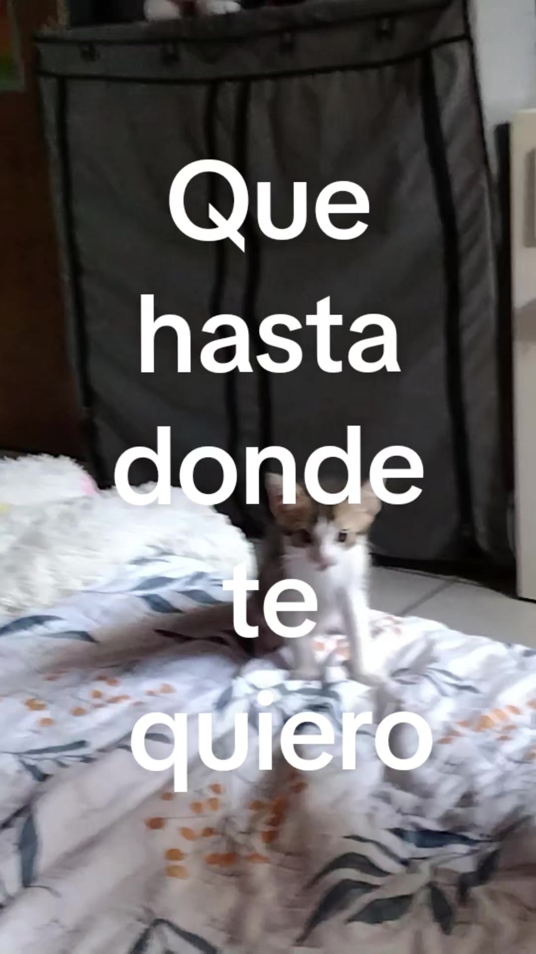 @. ° ๐ง | ๐๐ข๐๐ ° .