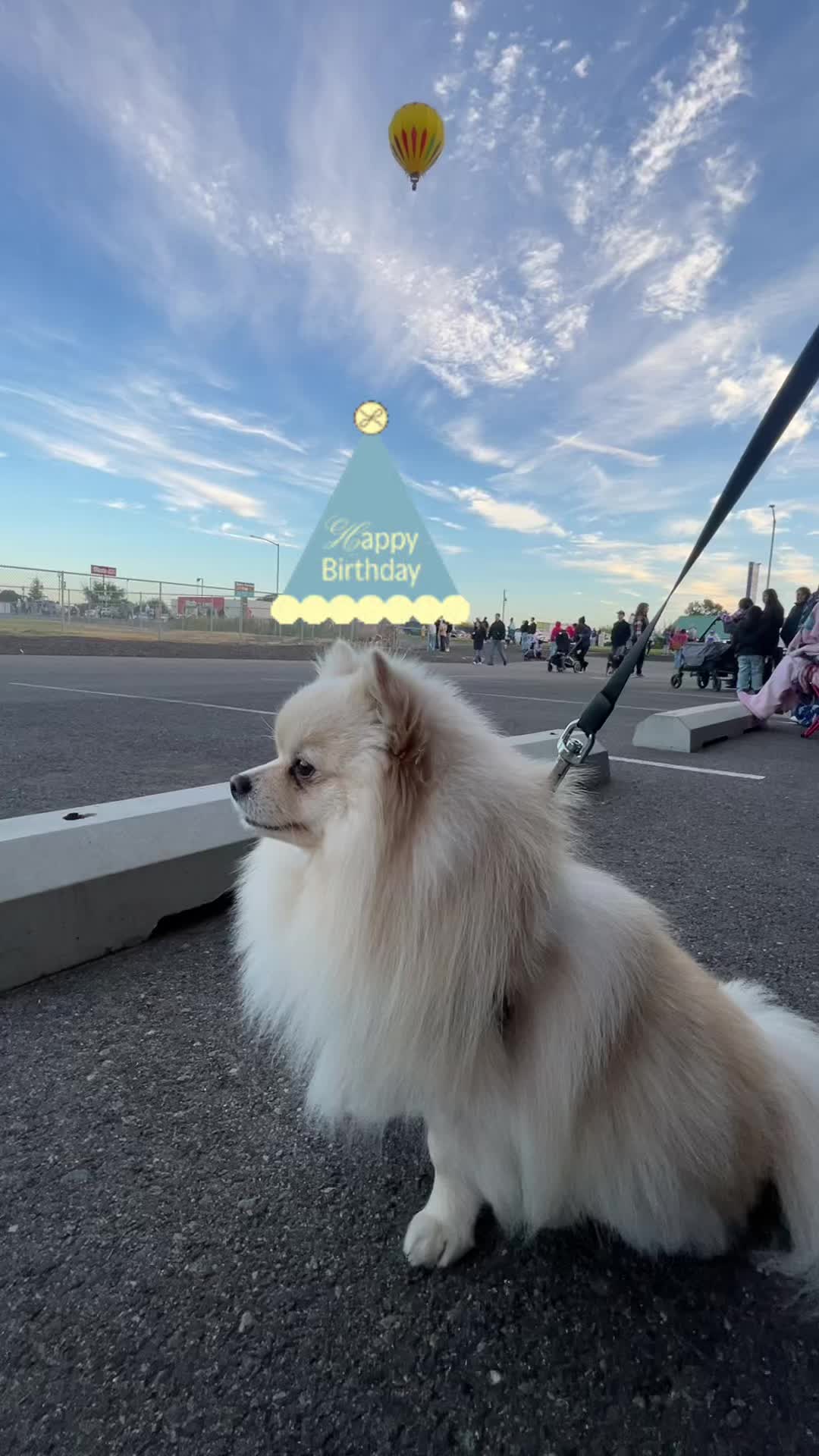 @beingmilothepom