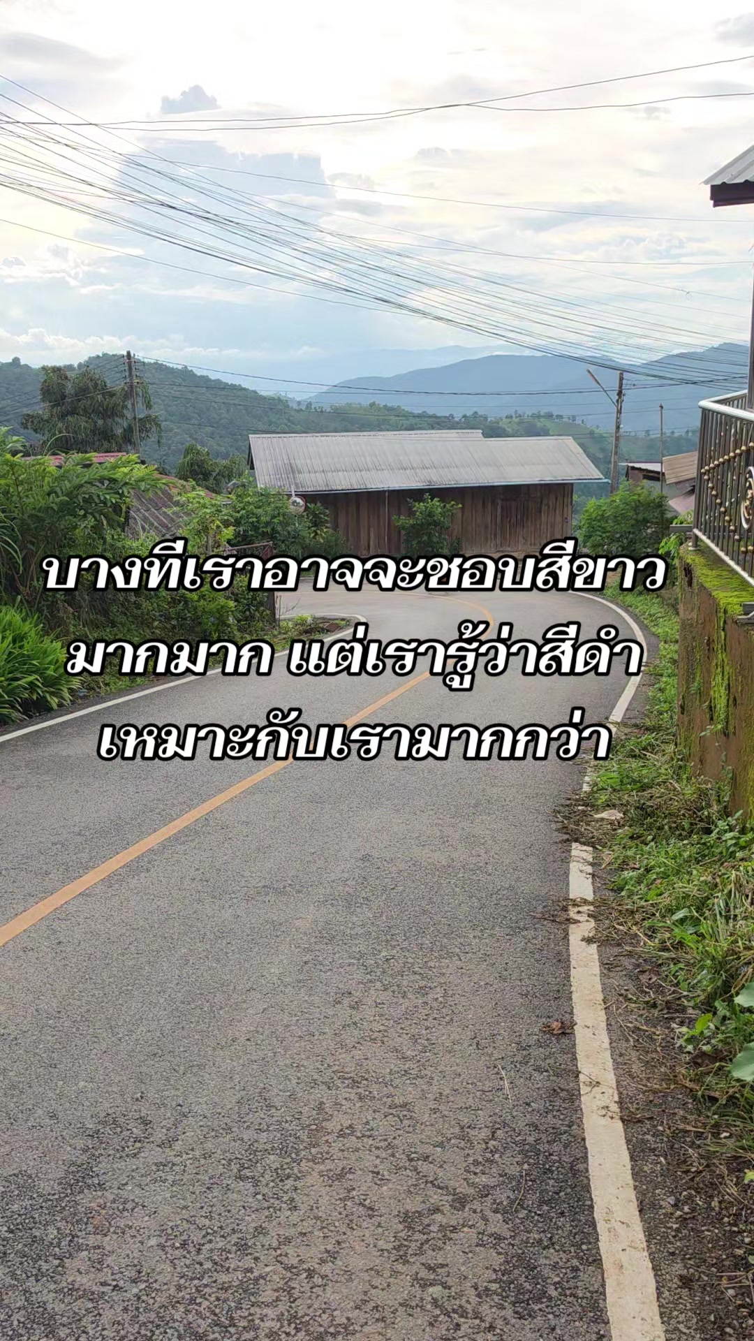 @🍀🌻มินตราที่แปลว่ากระถิน🌻🍀