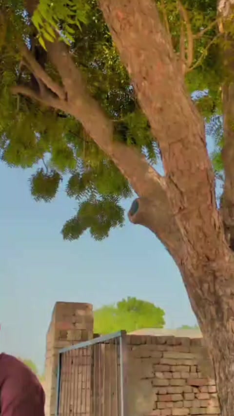 @@𝐀mbarsariy𝐚♨️