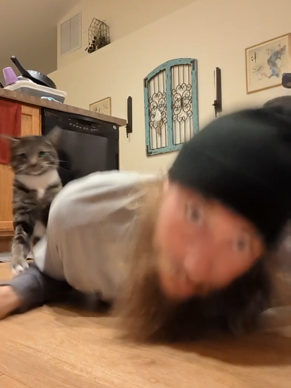 @Rainy the Cat