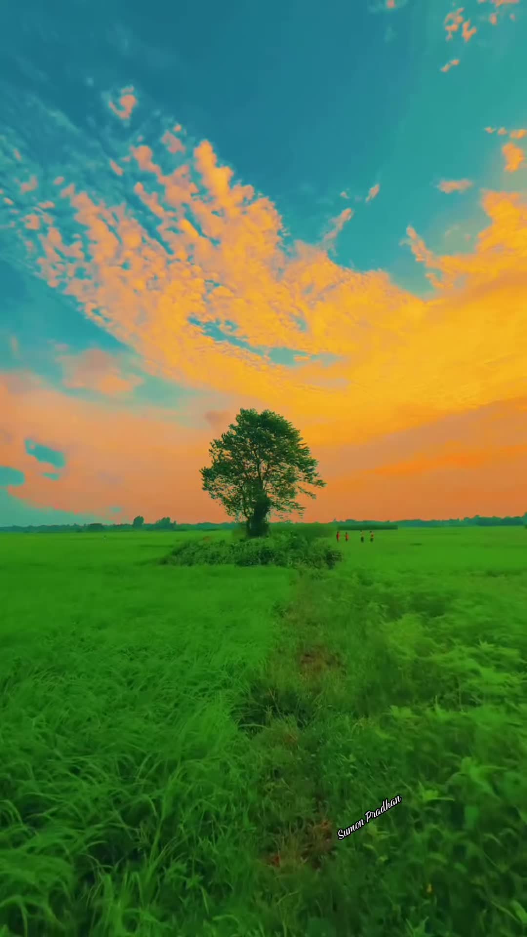 @🌹সুমন প্রধান 🇧🇩🛬🛬🇱🇷🇱🇷