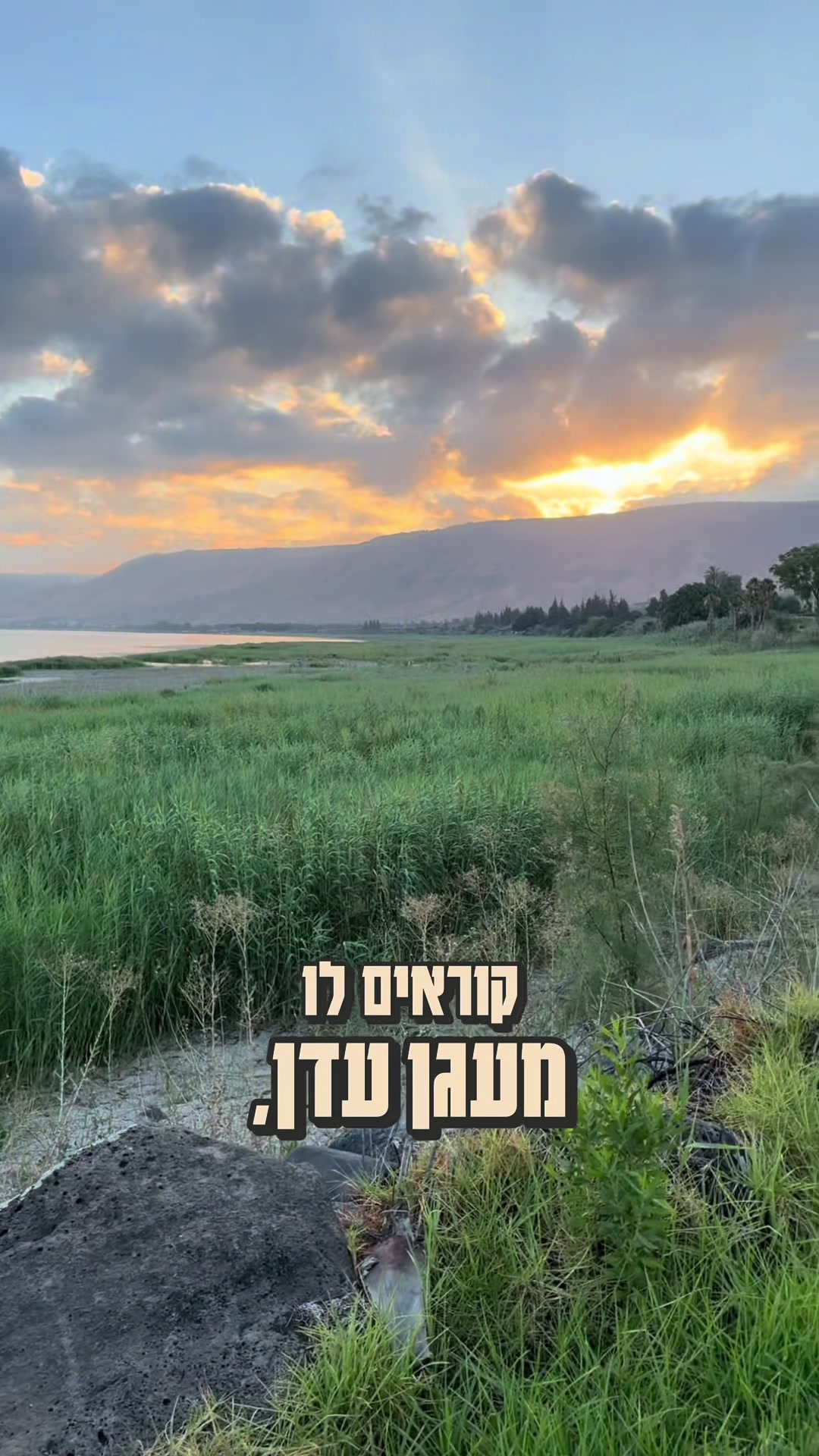 @צחי אוכל את ישראל 🇮🇱