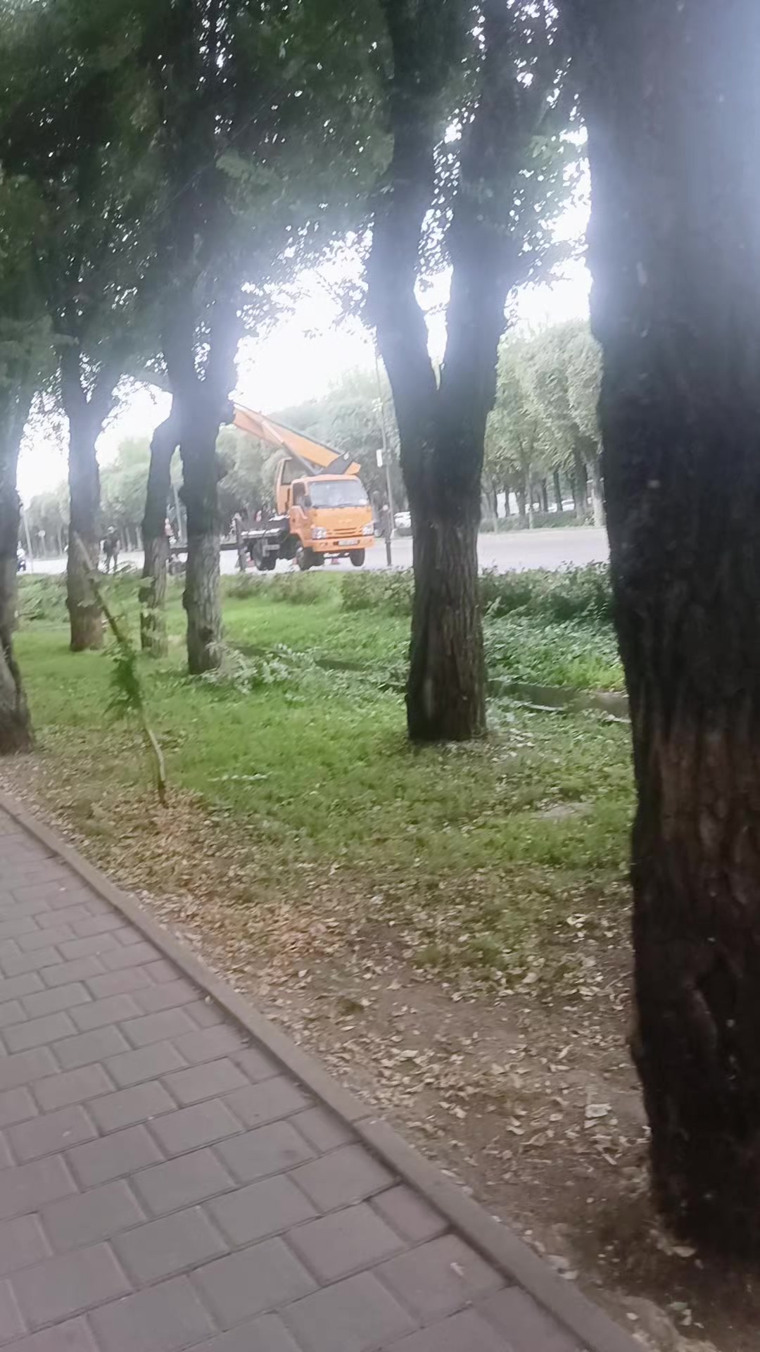 @Аллах все видит