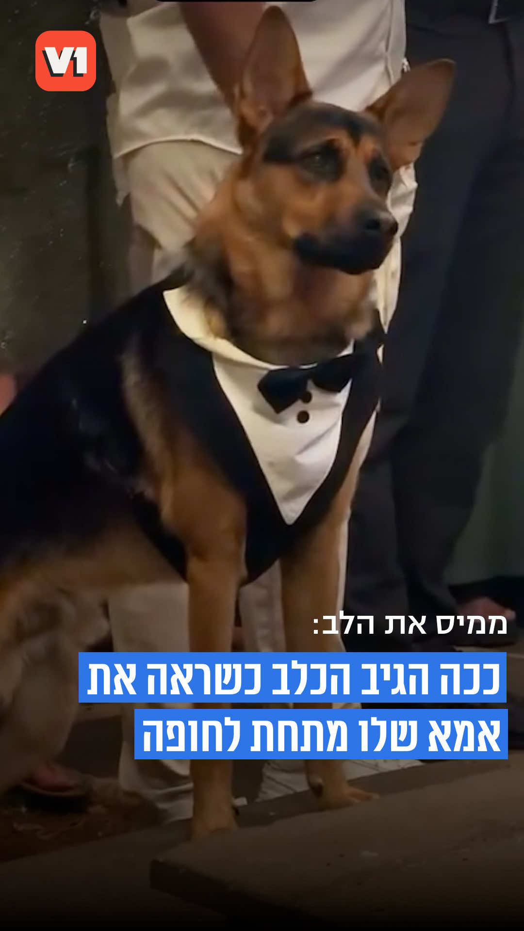 @V1 israel