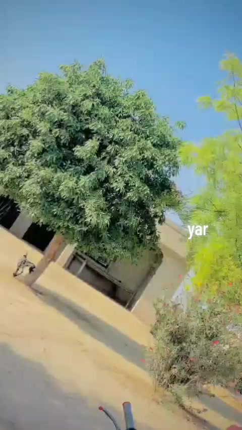 @👿👿hamid Khan302👿👿❤️