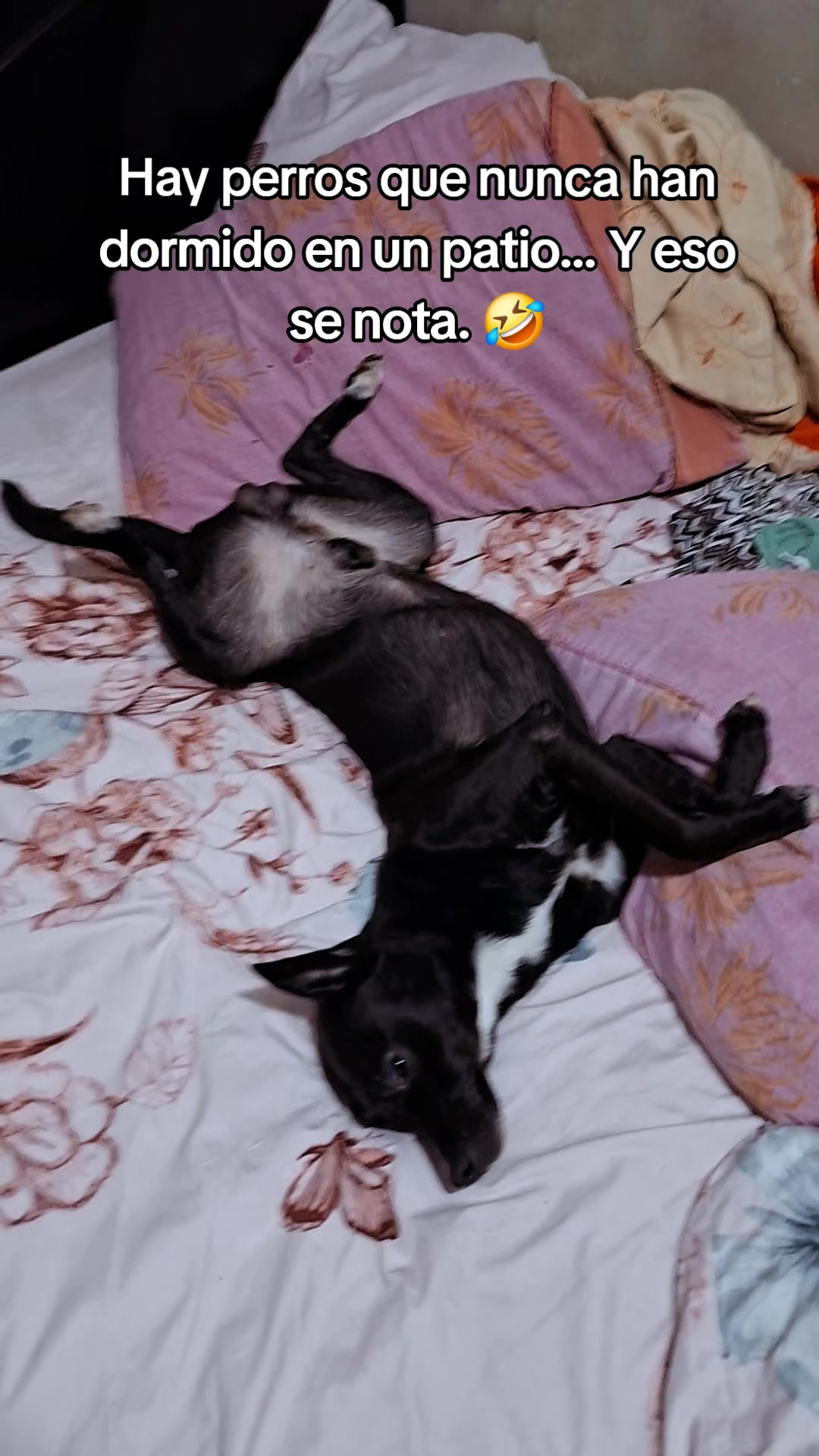 @Yanizaret Moreno