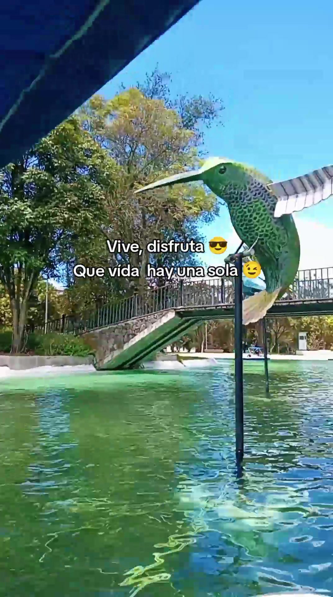 @〽️aryory ❤️&zwj;🩹🇪🇨