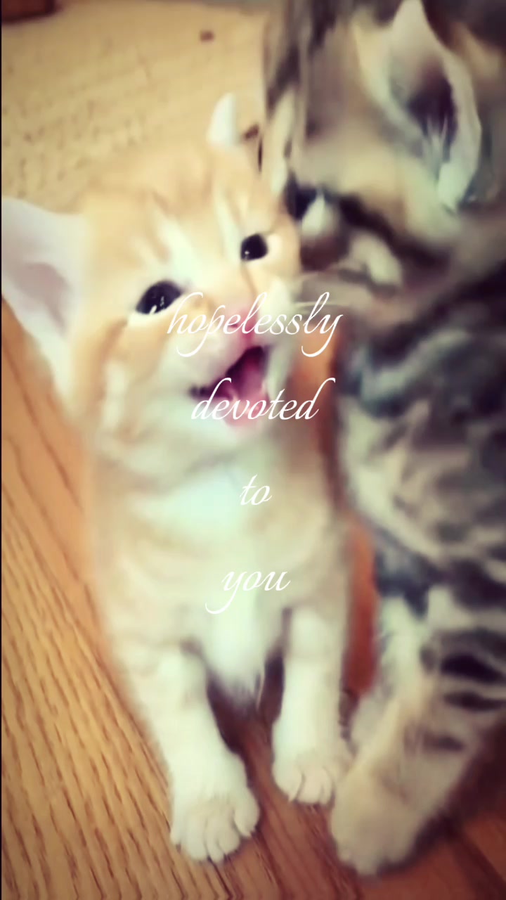 @˚ 🥟♫ 𖦹 𝐻𝑦𝑢𝑛𝑗𝑖𝑛 ∘ 🎧