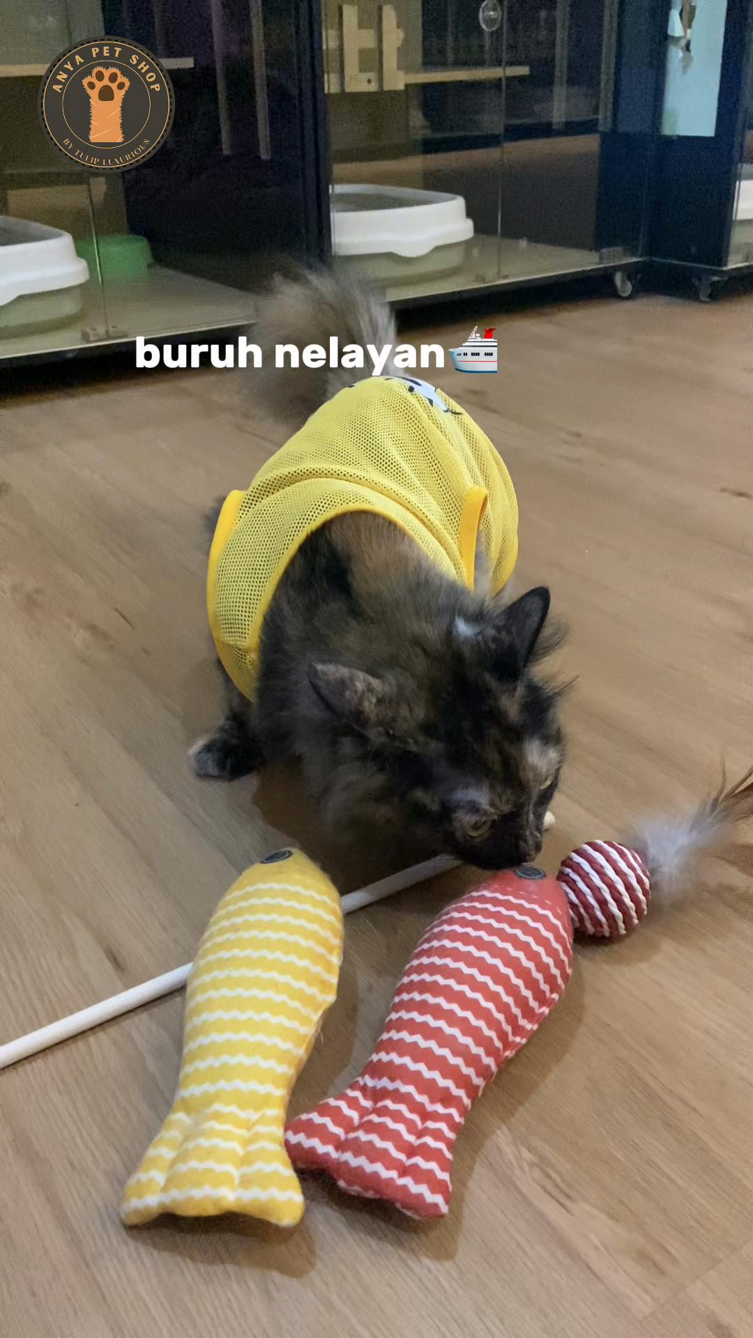 @Anya Pet Shop