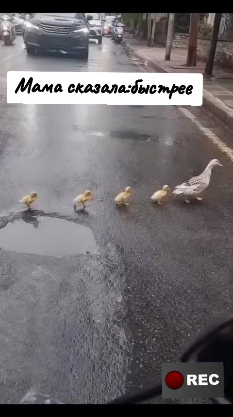 @Лариса