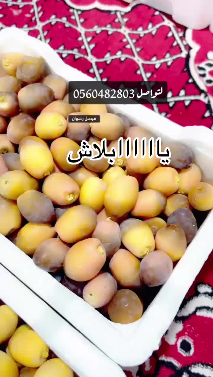 @ashkaltbiah