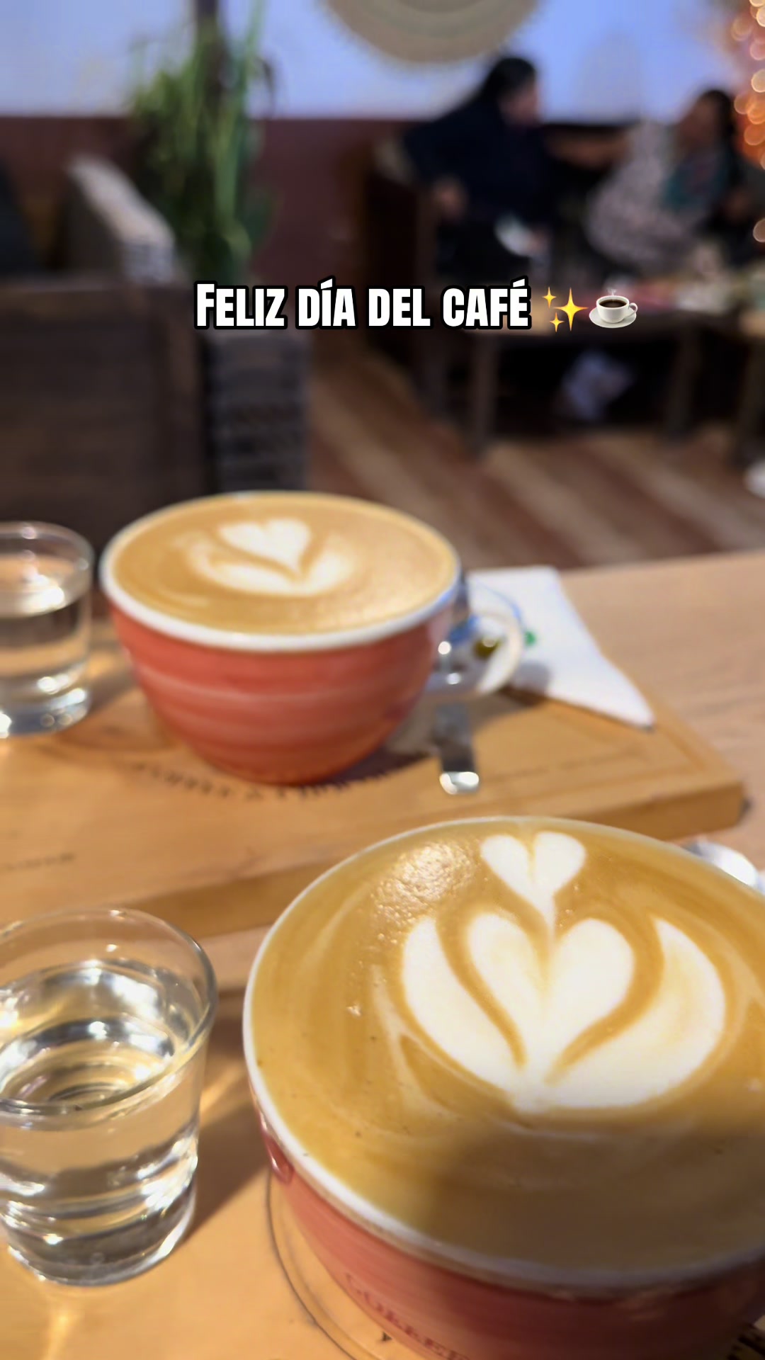 @MUYUS Coffee & chocolate ☕️🍫