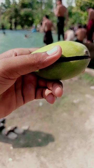 @alisial110