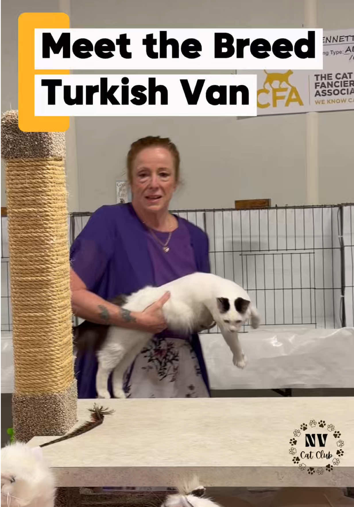 @NewVisionCatClub