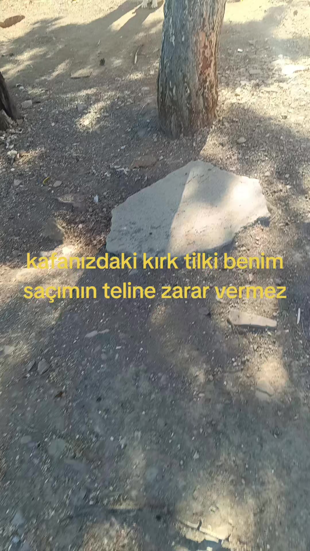 @Duran Karakaş