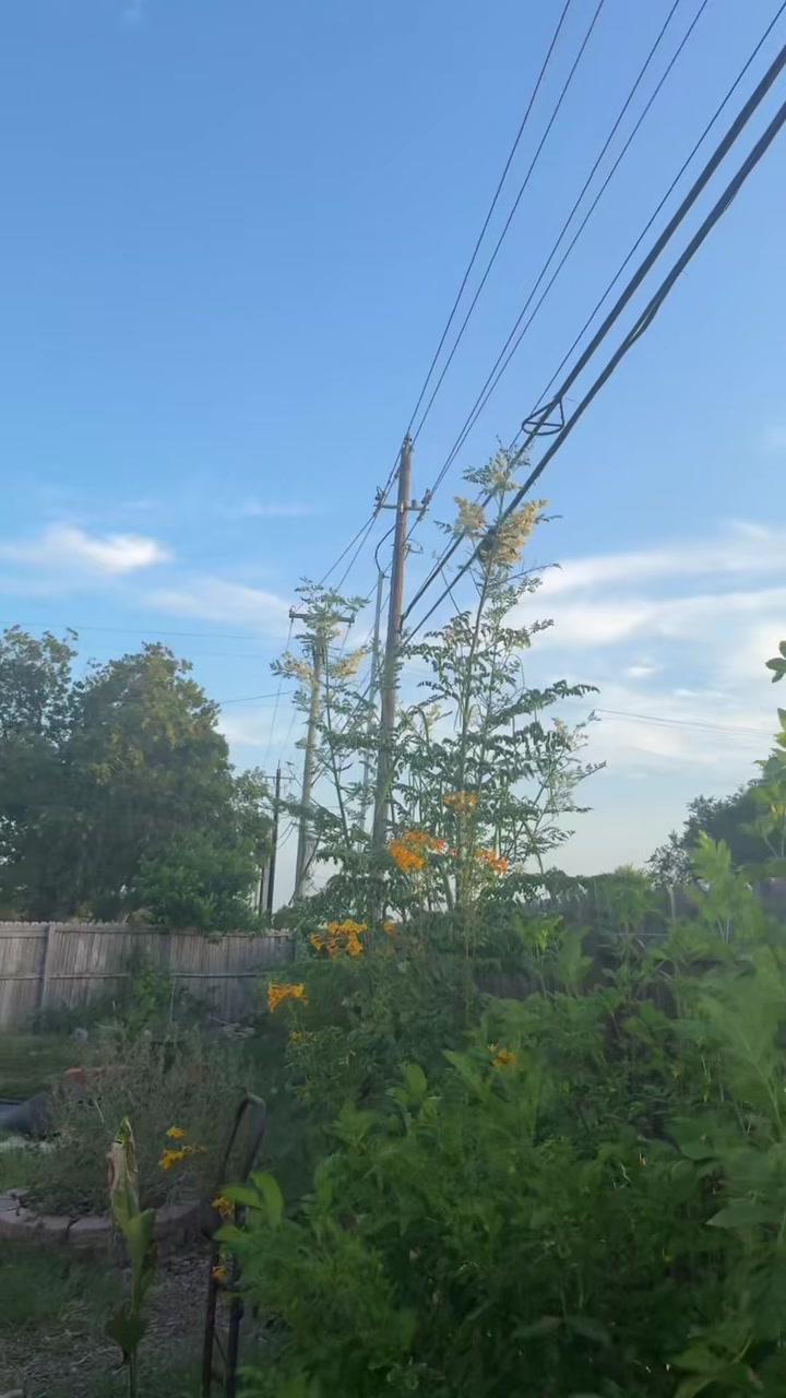 @themagicvalleygardener