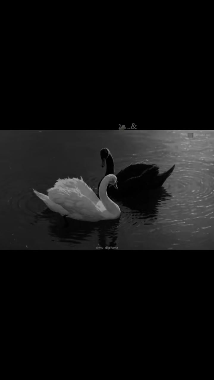 @𝕷açına_🕊️