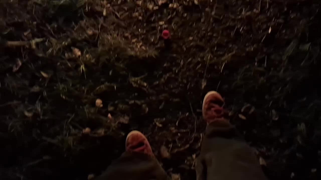 @SHWEEEPS
